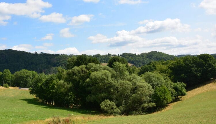 Eifelsteig von Aachen nach Trier