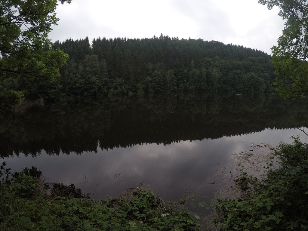 Harzer BaudenSteig • eGoTrek