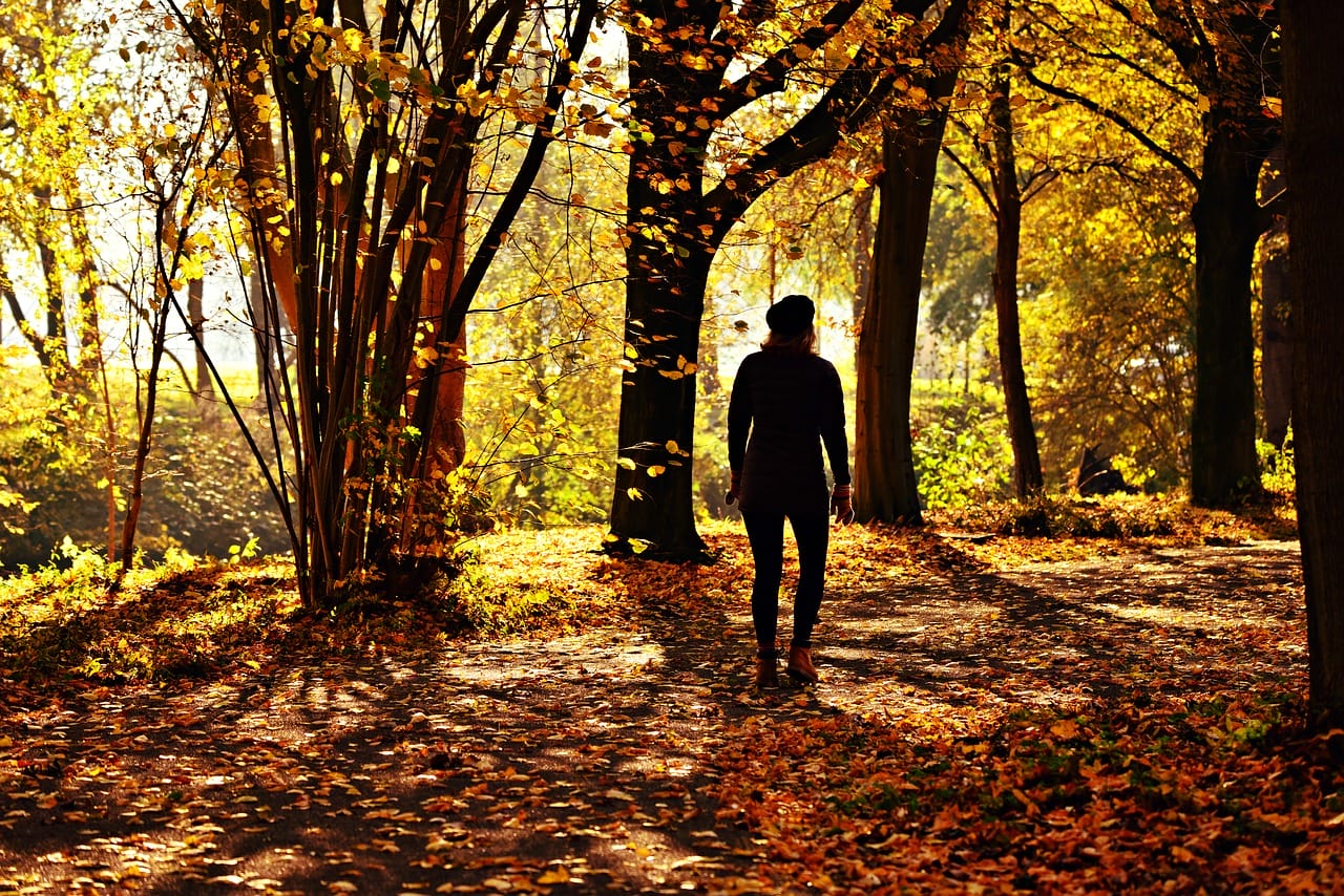 Wandern im Herbst